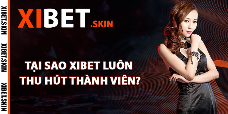 Tại sao Xibet luôn thu hút đông đảo thành viên?